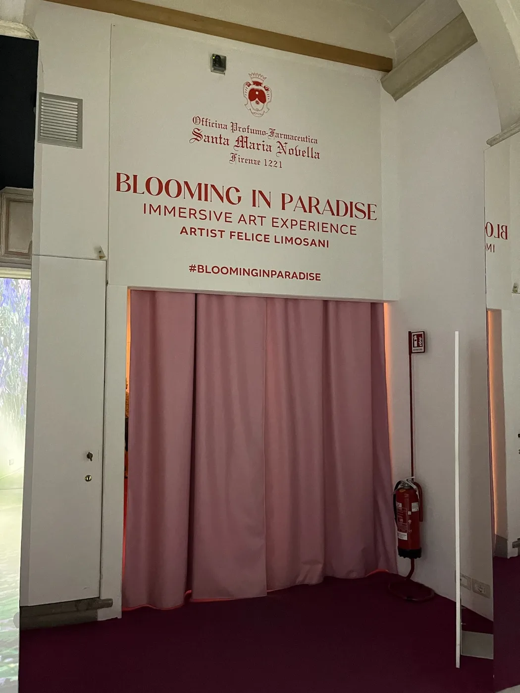 BLOOMING IN PARADISE の入口